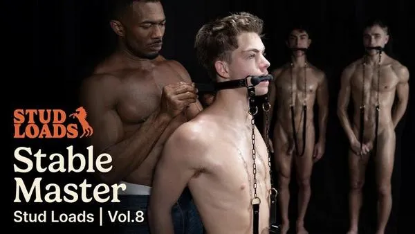 Stud Loads Vol. 8 – Stable Master – Alfonso Osnaya, Flynn Fenix, Oliver Carter, Sean Xavier